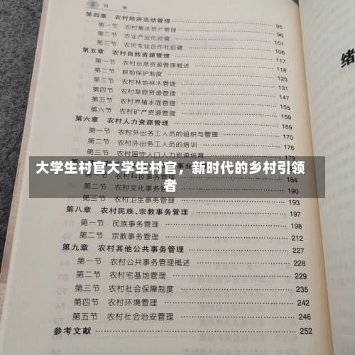 大学生村官大学生村官，新时代的乡村引领者-第1张图片-记录生活每一天