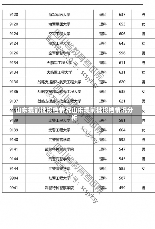 山东提前批投档情况山东提前批投档情况分析-第1张图片-记录生活每一天