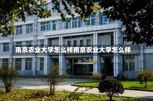 南京农业大学怎么样南京农业大学怎么样-第3张图片-记录生活每一天