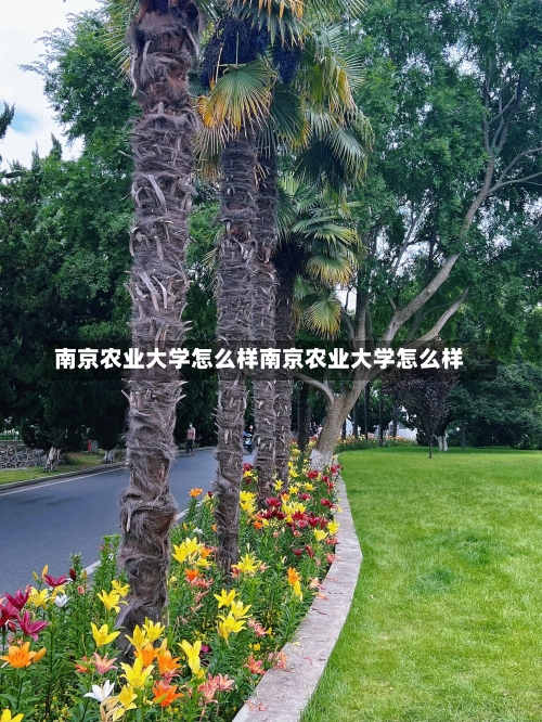 南京农业大学怎么样南京农业大学怎么样-第1张图片-记录生活每一天