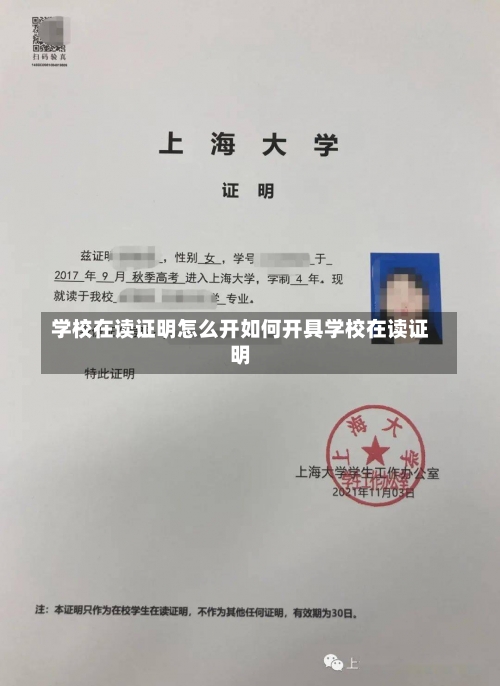 学校在读证明怎么开如何开具学校在读证明-第1张图片-记录生活每一天