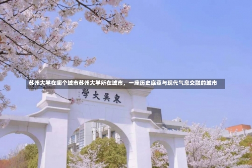 苏州大学在哪个城市苏州大学所在城市，一座历史底蕴与现代气息交融的城市-第2张图片-记录生活每一天