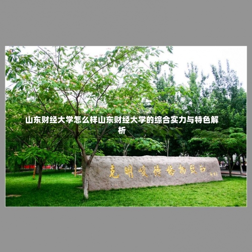 山东财经大学怎么样山东财经大学的综合实力与特色解析-第1张图片-记录生活每一天