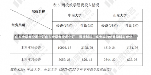 山东大学专业哪个好山东大学专业哪个好——深度解析山东大学的优秀学科与专业-第3张图片-记录生活每一天