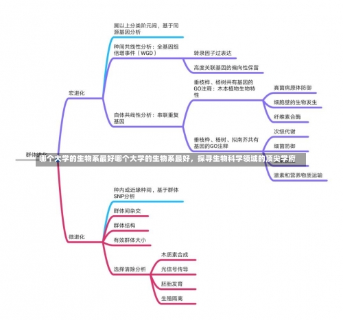 哪个大学的生物系最好哪个大学的生物系最好，探寻生物科学领域的顶尖学府-第2张图片-记录生活每一天