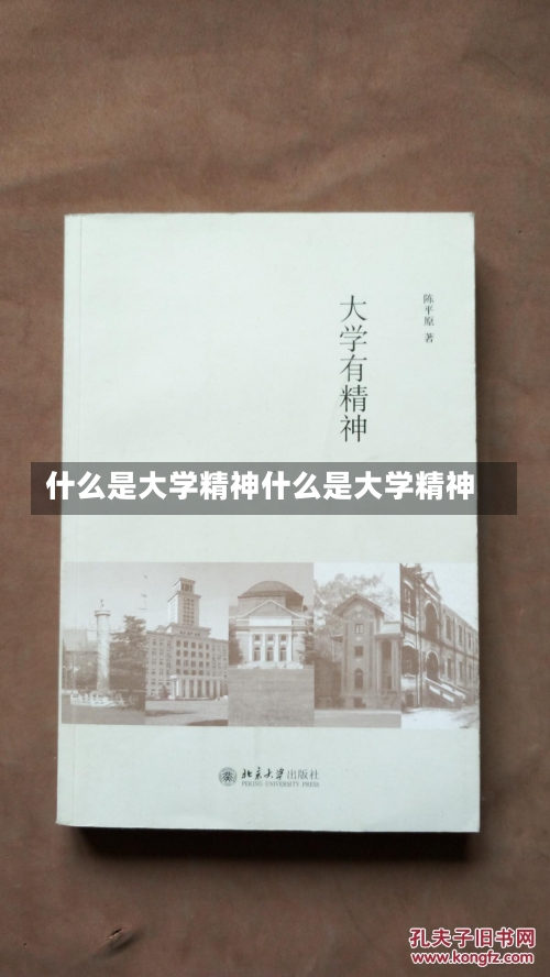 什么是大学精神什么是大学精神-第2张图片-记录生活每一天