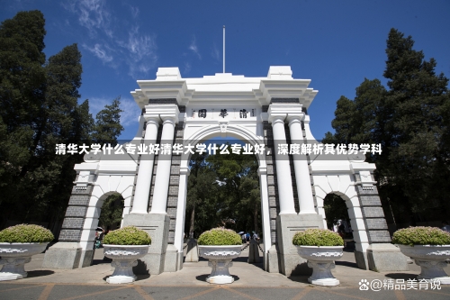 清华大学什么专业好清华大学什么专业好，深度解析其优势学科-第2张图片-记录生活每一天