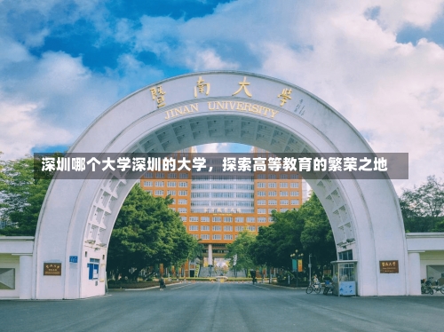 深圳哪个大学深圳的大学，探索高等教育的繁荣之地-第2张图片-记录生活每一天