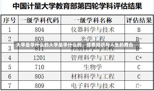 大学是学什么的大学是学什么的，探索知识与人生的舞台-第3张图片-记录生活每一天