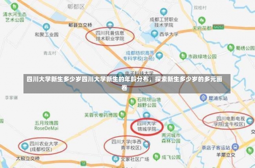 四川大学新生多少岁四川大学新生的年龄分布，探索新生多少岁的多元画卷-第3张图片-记录生活每一天