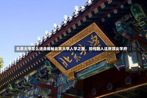 北京大学怎么进去揭秘北京大学入学之路，如何踏入这所顶尖学府-第1张图片-记录生活每一天