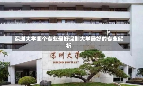 深圳大学哪个专业最好深圳大学最好的专业解析-第2张图片-记录生活每一天