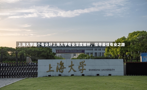 上海大学哪个专业好上海大学专业深度解析，探寻最佳专业之路-第2张图片-记录生活每一天