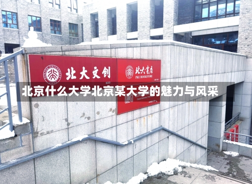 北京什么大学北京某大学的魅力与风采-第1张图片-记录生活每一天