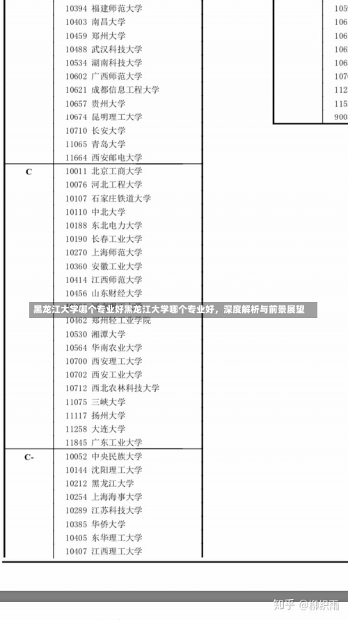 黑龙江大学哪个专业好黑龙江大学哪个专业好，深度解析与前景展望-第1张图片-记录生活每一天