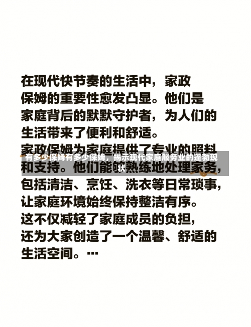 有多少保姆有多少保姆，揭示现代家庭服务业的蓬勃现状-第1张图片-记录生活每一天