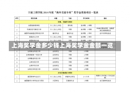 上海奖学金多少钱上海奖学金金额一览-第1张图片-记录生活每一天