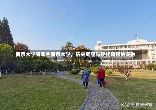 南京大学有哪些南京大学，历史底蕴与现代风采的交融-第2张图片-记录生活每一天