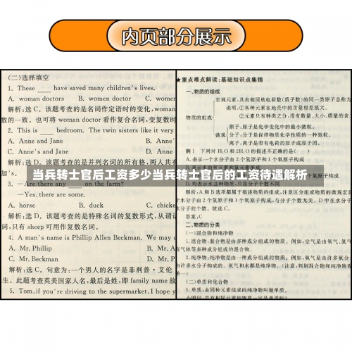 当兵转士官后工资多少当兵转士官后的工资待遇解析-第2张图片-记录生活每一天