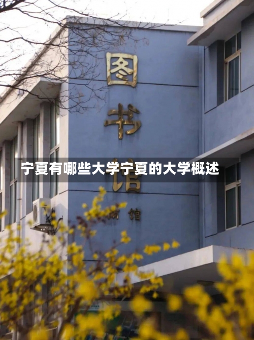 宁夏有哪些大学宁夏的大学概述-第3张图片-记录生活每一天