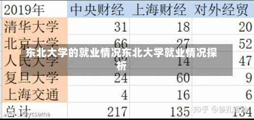 东北大学的就业情况东北大学就业情况探析-第1张图片-记录生活每一天