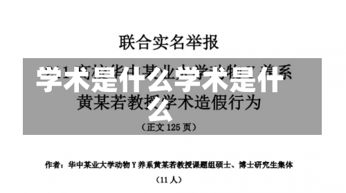 学术是什么学术是什么-第1张图片-记录生活每一天