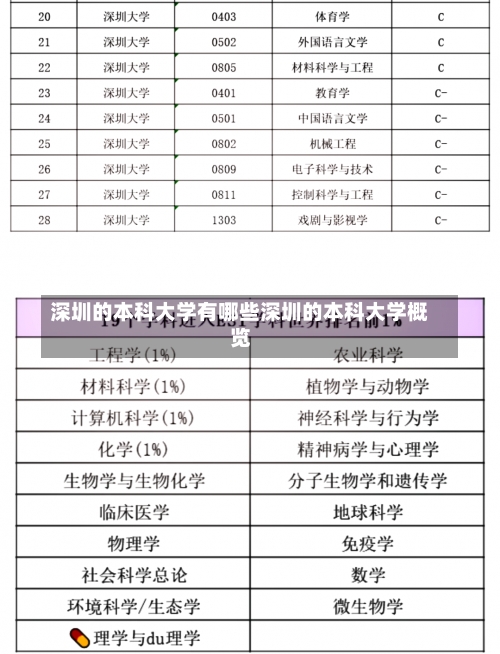 深圳的本科大学有哪些深圳的本科大学概览-第1张图片-记录生活每一天