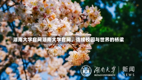 湖南大学官网湖南大学官网，连接校园与世界的桥梁-第2张图片-记录生活每一天