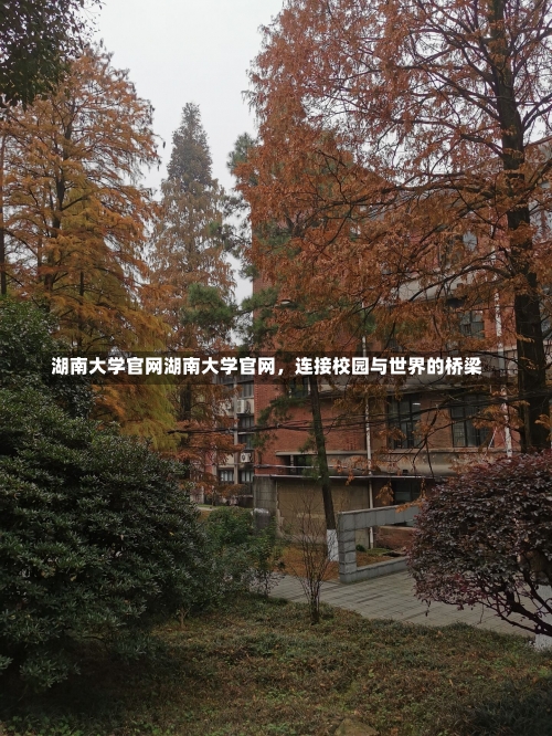 湖南大学官网湖南大学官网，连接校园与世界的桥梁-第3张图片-记录生活每一天