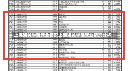 上海海关学院就业情况上海海关学院就业情况分析-第2张图片-记录生活每一天