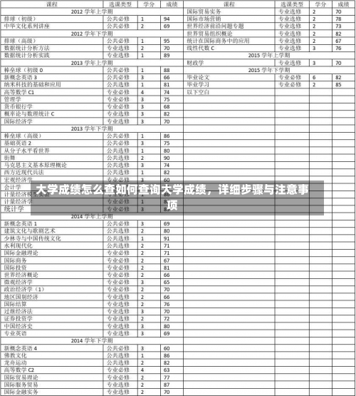 大学成绩怎么查如何查询大学成绩，详细步骤与注意事项-第2张图片-记录生活每一天