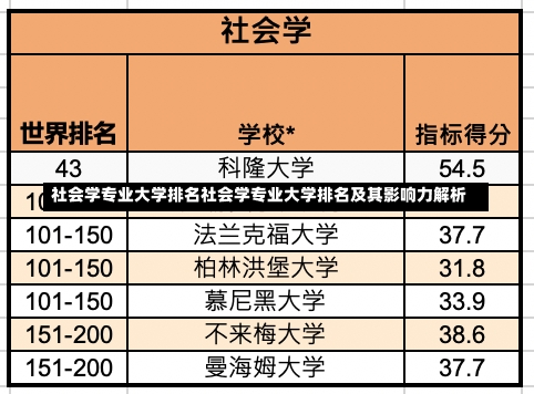 社会学专业大学排名社会学专业大学排名及其影响力解析-第2张图片-记录生活每一天