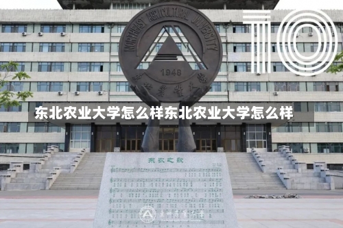 东北农业大学怎么样东北农业大学怎么样-第2张图片-记录生活每一天