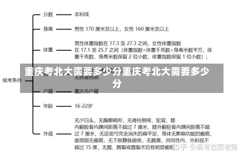 重庆考北大需要多少分重庆考北大需要多少分-第2张图片-记录生活每一天