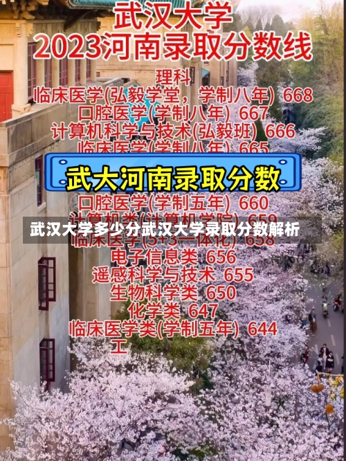 武汉大学多少分武汉大学录取分数解析-第1张图片-记录生活每一天