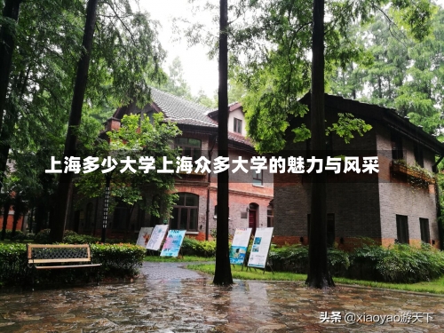 上海多少大学上海众多大学的魅力与风采-第3张图片-记录生活每一天